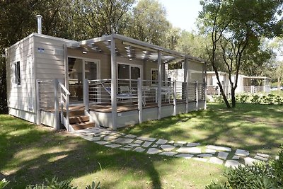 Vrijstaand chalet met airco in een natuurpark...