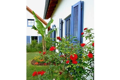 Maison de vacances avec 2 chambres