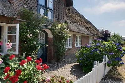 Ferienhaus mit 3 Schlafzimmer