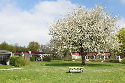 Gepflegter Bungalow in der Nähe von...