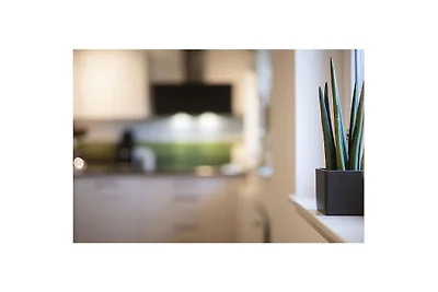 Q-Stall, Apartment 05