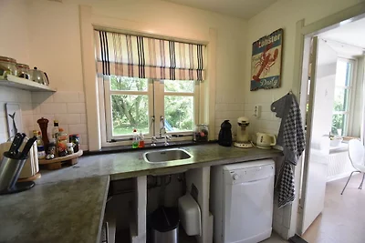 Quintessential holiday home in Ouddorp with...
