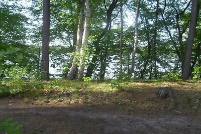 Bungalow mit 1 Schlafzimmer