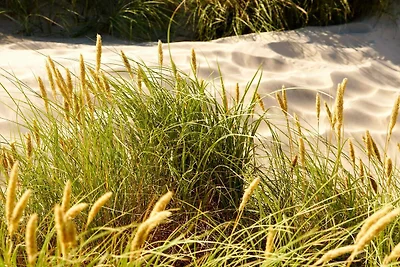 8 persoons vakantie huis in Fjerritslev-By...