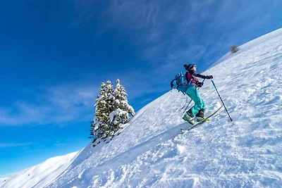 Chalet am Hang in Vars