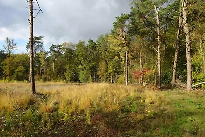 Schöne Feriensuiten im Wald mit Wellness