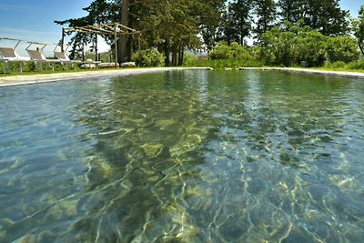 Hütte in Roccastrada mit Schwimmbecken