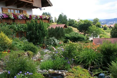 Ferienwohnung in Regen mit Schwimmbecken