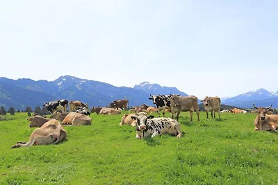 Ferienhof Linder am Forggensee