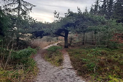 4 persoons vakantie huis in Hals-By Traum