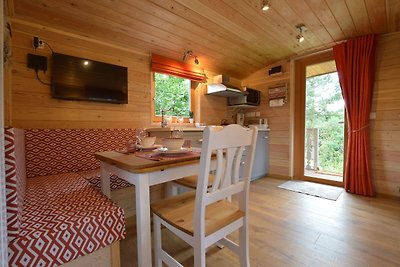 Schönes Ferienhaus mit Sauna am Waldrand in d...