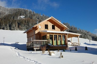Luxury Chalet in Hohentauern near Ski Area