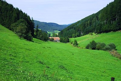 Casa vacanze a Hofstetten con terrazza