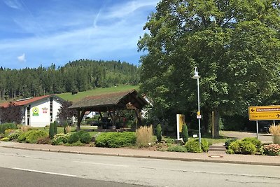 Ferienwohnung Panoramablick in Baiersbronn