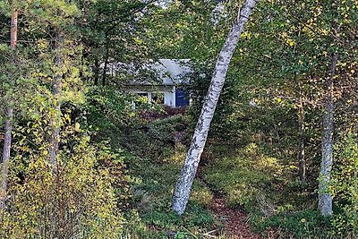 4 personas casa en SKÅNES-FAGERHULT