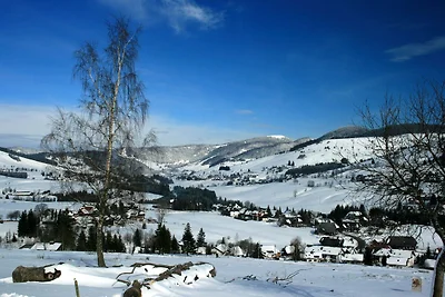 Wohnung in Bernau im Schwarzwald mit Talblick