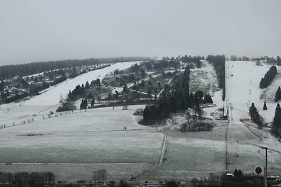 Vakantiehuis met terras bij het skigebied