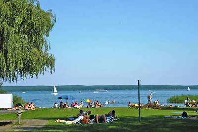 Doppelhaushälfte, Plau am See