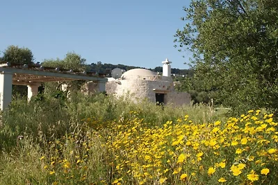 Ferienhaus mit 1 Schlafzimmer