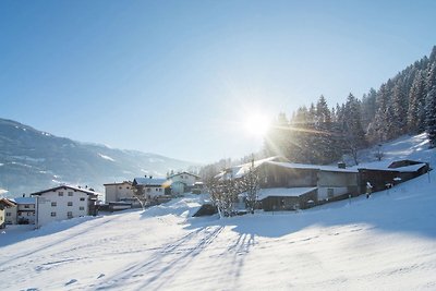 Großzügiges Ferienhaus in Skigebietsnähe in...