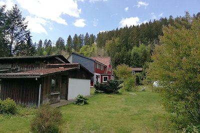 Schöne Doppelhaushälfte im Harz: Holzofen, Ga...