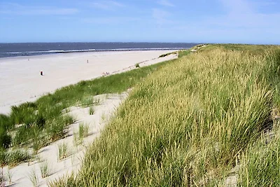 Ferienhaus mit eigenem Garten am Meer