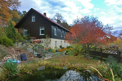 Geräumige Wohnung im Harz nahe Skigebiet