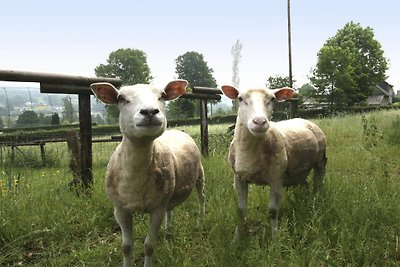 Schilderachtige boerderij met een privéterras