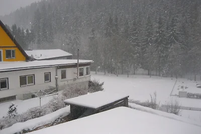 Angenehme Wohnung in Wildemann inmitten des...