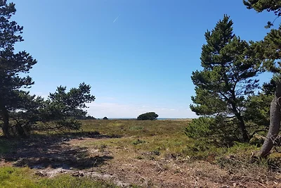 6 persoons vakantie huis in Læsø