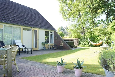 Garten (Sommer) Garten (Sommer)