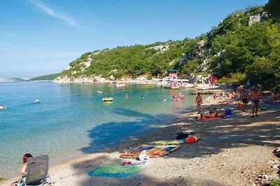 Huisje in Kroatië met zwembad en boszicht