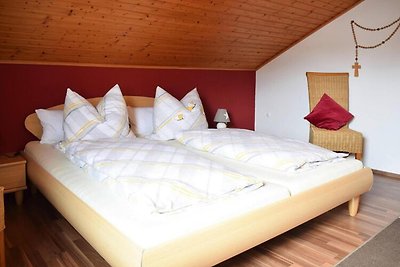 Appartement in Langdorf nabij skipistes