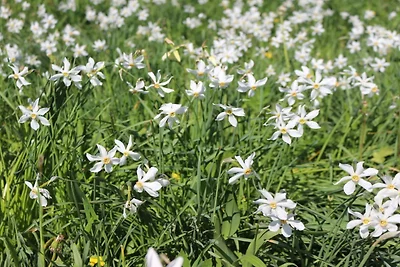 Blonay Logis de Vacances 2