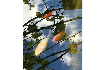 Ferienwohnung mit 1 Schlafzimmer