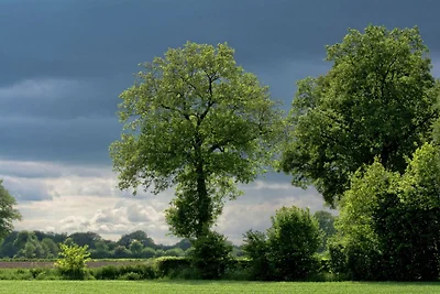 Strohgedeckte Scheune mit schöner Aussicht