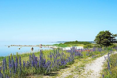 4 Personen Ferienhaus in KLINTEHAMN