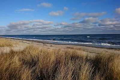 6 Personen Ferienhaus in Væggerløse-By Traum