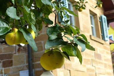 Vakantiehuis Ontspannende vakantie Prichsenstadt