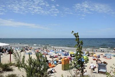 Casas vacanze accoglienti a Rewal