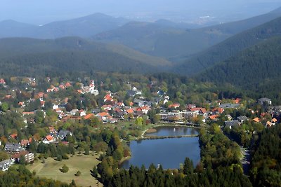 Gezellige vakantiewoning in de Harz