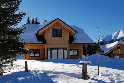 Magnificent Chalet in Hohentauern with bubble...