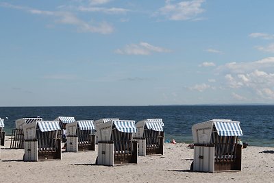 Idyllische Wohnung an der Ostseeküste