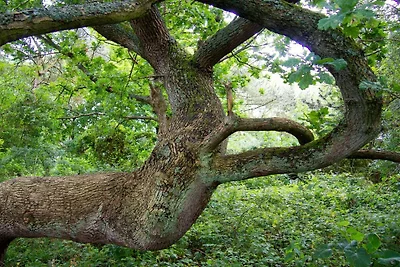 4 Sterne Ferienhaus in Præstø-By Traum