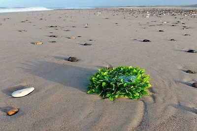 Accogliente casa sulla spiaggia con spa -- By...
