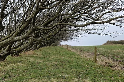8 persoons vakantie huis in Spøttrup-By Traum