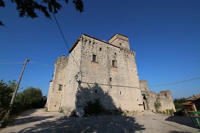 Castello medievale con piscina fra i boschi...