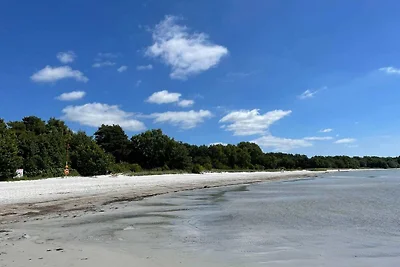 4 stelle case ad SÖLVESBORG