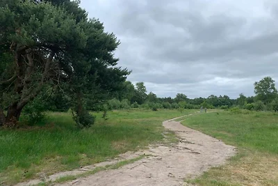 Holzbungalow mit Spülmaschine, 3 km.