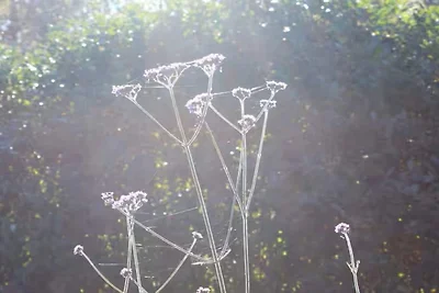 4 Personen Ferienhaus in LUR